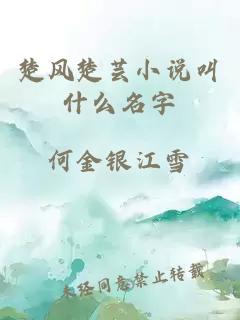 楚风楚芸小说叫什么名字