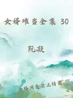 女婿难当全集 30