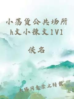 小荡货公共场所h文小辣文1V1