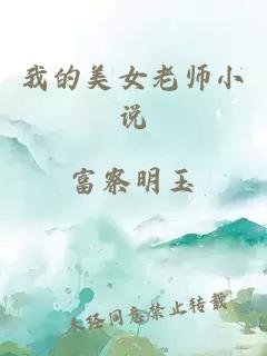 我的美女老师小说