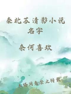 秦北苏清影小说名字