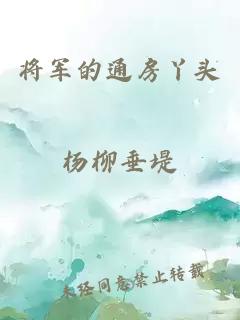 将军的通房丫头