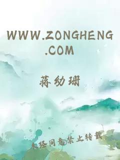 WWW.ZONGHENG.COM