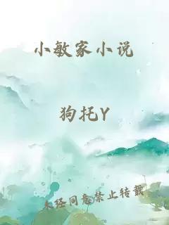 小敏家小说