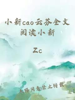 小新cao云芬全文阅读小新