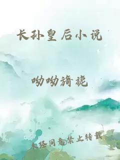 长孙皇后小说