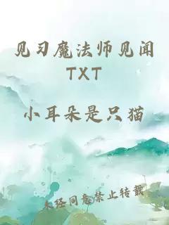 见习魔法师见闻TXT