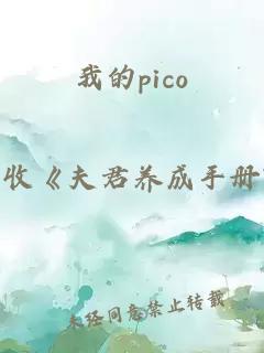 我的pico