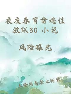 夜夜春宵翁熄性放纵30 小说