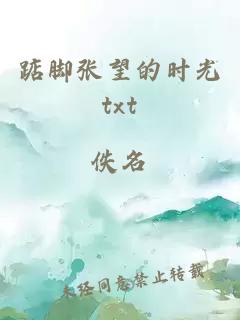 踮脚张望的时光txt