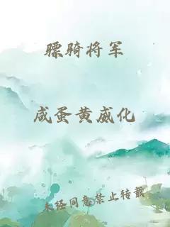 骠骑将军