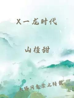 X一龙时代