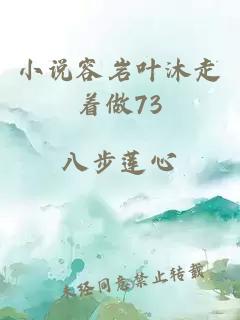 小说容岩叶沐走着做73