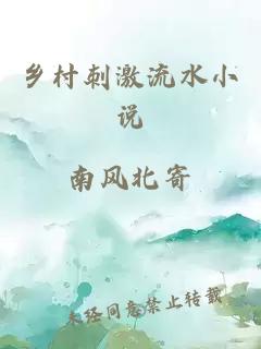 乡村刺激流水小说