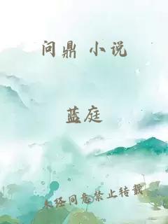 问鼎 小说