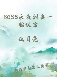 BOSS来袭甜妻一胎双宝