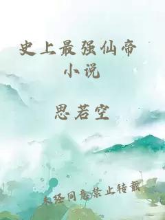 史上最强仙帝 小说