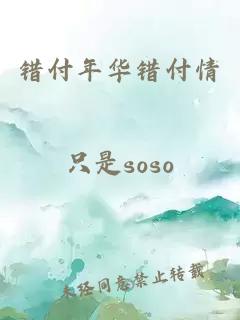 错付年华错付情