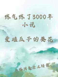 练气练了3000年小说