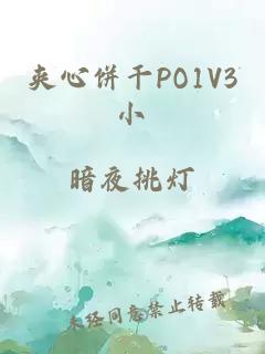 夹心饼干PO1V3小