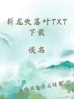 斩龙失落叶TXT下载