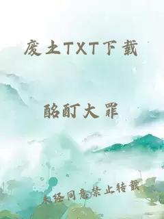 废土TXT下载