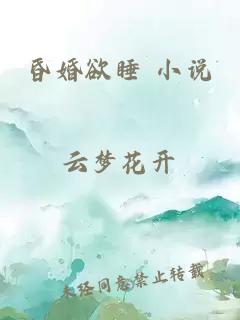 昏婚欲睡 小说