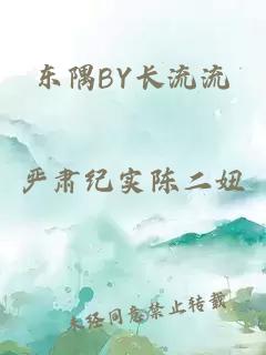 东隅BY长流流