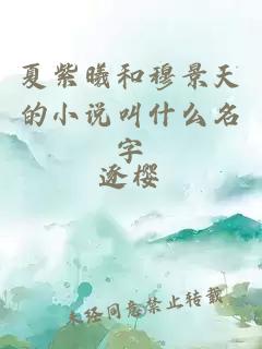 夏紫曦和穆景天的小说叫什么名字