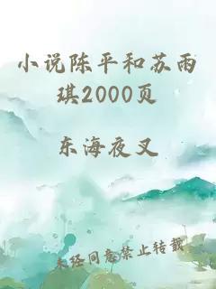 小说陈平和苏雨琪2000页