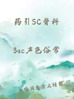 药引SC骨科