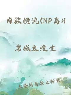 肉欲横流(NP高H