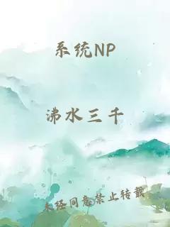 系统NP