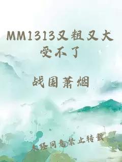 MM1313又粗又大受不了