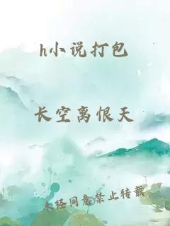 h小说打包