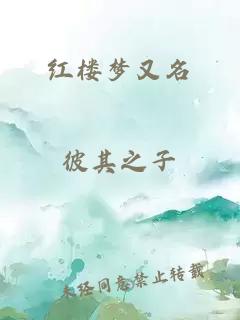 红楼梦又名