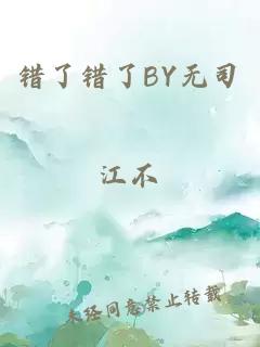 错了错了BY无司