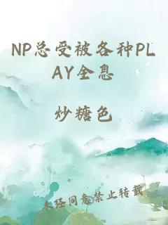 NP总受被各种PLAY全息