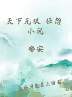 天下无双 任怨 小说