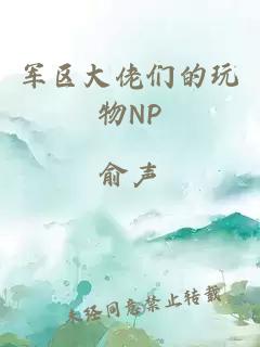 军区大佬们的玩物NP