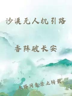 沙漠无人机引路