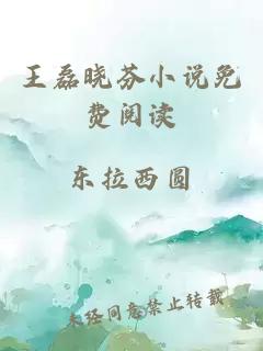 王磊晓芬小说免费阅读