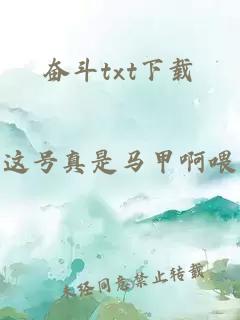 奋斗txt下载