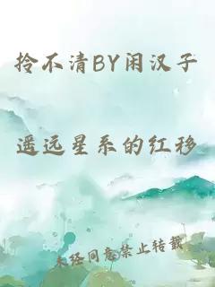 拎不清BY闲汉子