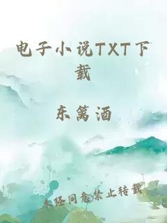 电子小说TXT下载