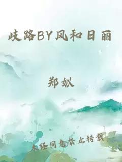 歧路BY风和日丽