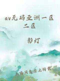 av无码亚洲一区二区