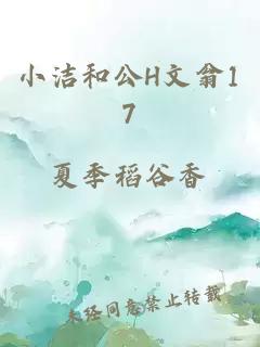 小洁和公H文翁17