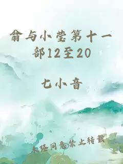 翁与小莹第十一部12至20