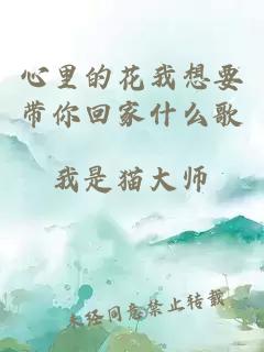 心里的花我想要带你回家什么歌